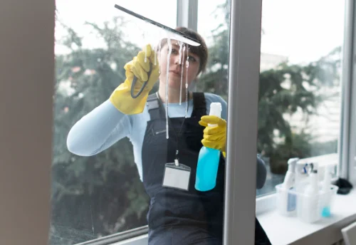 Nettoyage de vitres intérieures et extérieures à Projan